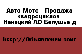 Авто Мото - Продажа квадроциклов. Ненецкий АО,Белушье д.